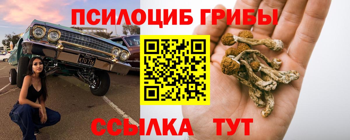 Галлюциногенные грибы GOLDEN TEACHER  Вход с VPN  Чехов 