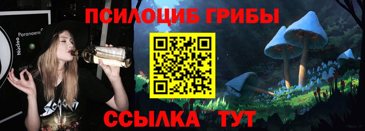 Псилоцибиновые грибы Cubensis Чехов